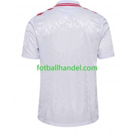 Herre Fotballdrakter Danmark Borte Euro 2024 Kortermet